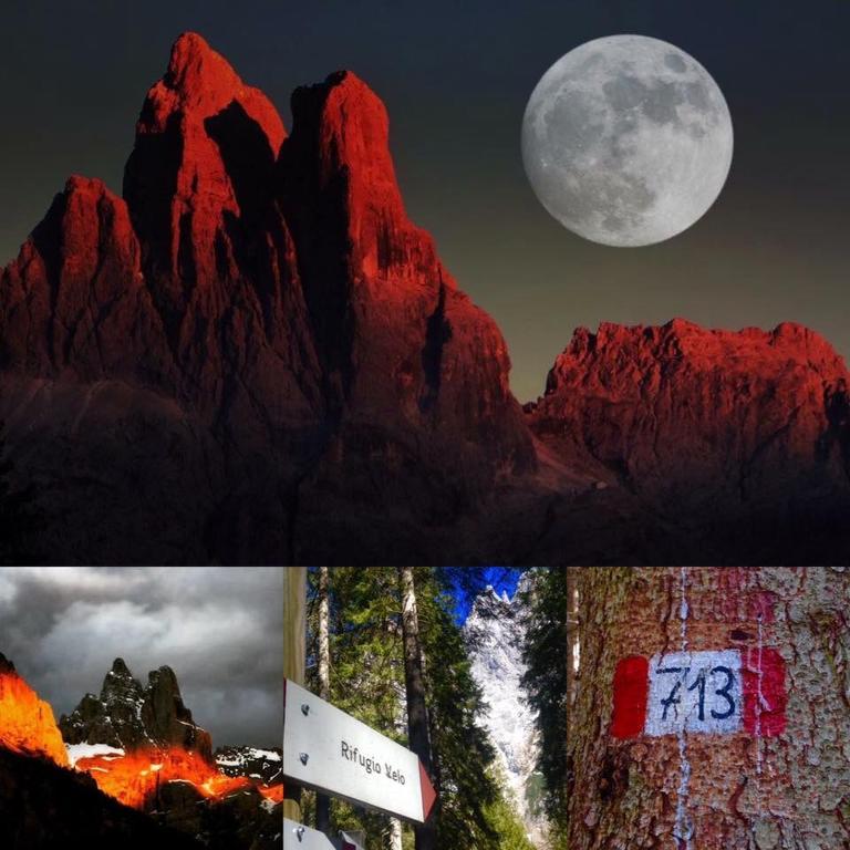 Rifugio Velo Della Madonna Ξενοδοχείο San Martino Di Castrozza Εξωτερικό φωτογραφία